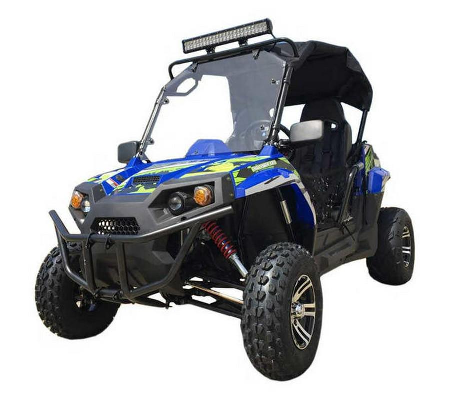 2020 TrailMaster CHALLENGER200EX