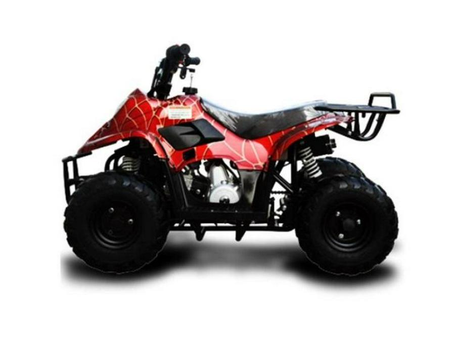 2021 TrailMaster MINI XRX/R+BL