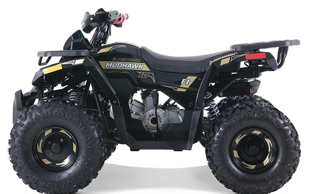 2025 Denago Powersports MUDHAWK 10
