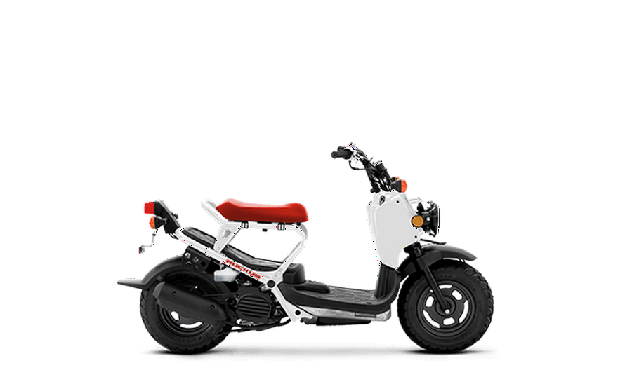 2019 Honda Ruckus Base