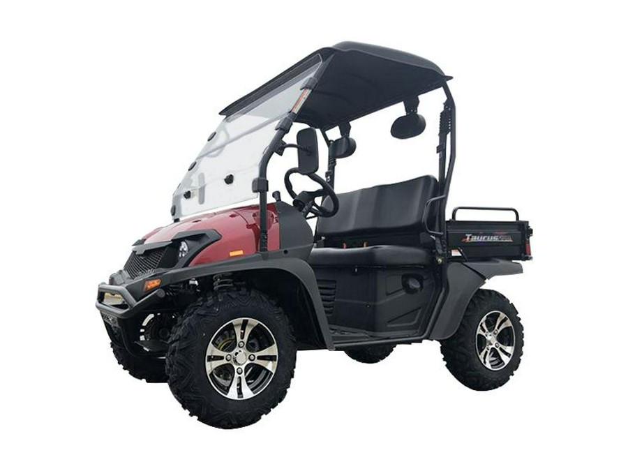 2021 TrailMaster TAURUS 200U-CF