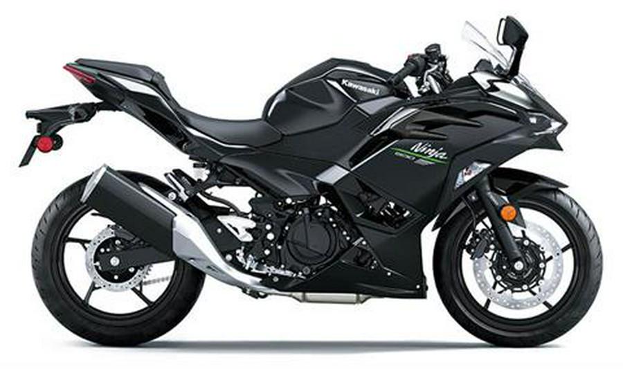 2024 Kawasaki EX650GRFNN