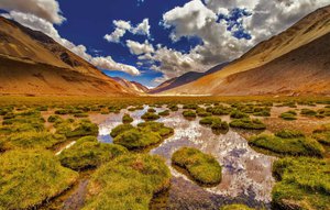 Tour Package for Kashmir - 4N - Sr4