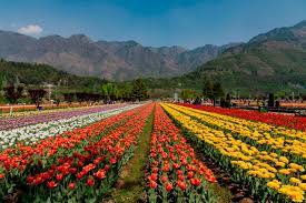 Kashmir & Ladakh Trip 9 Nights destination