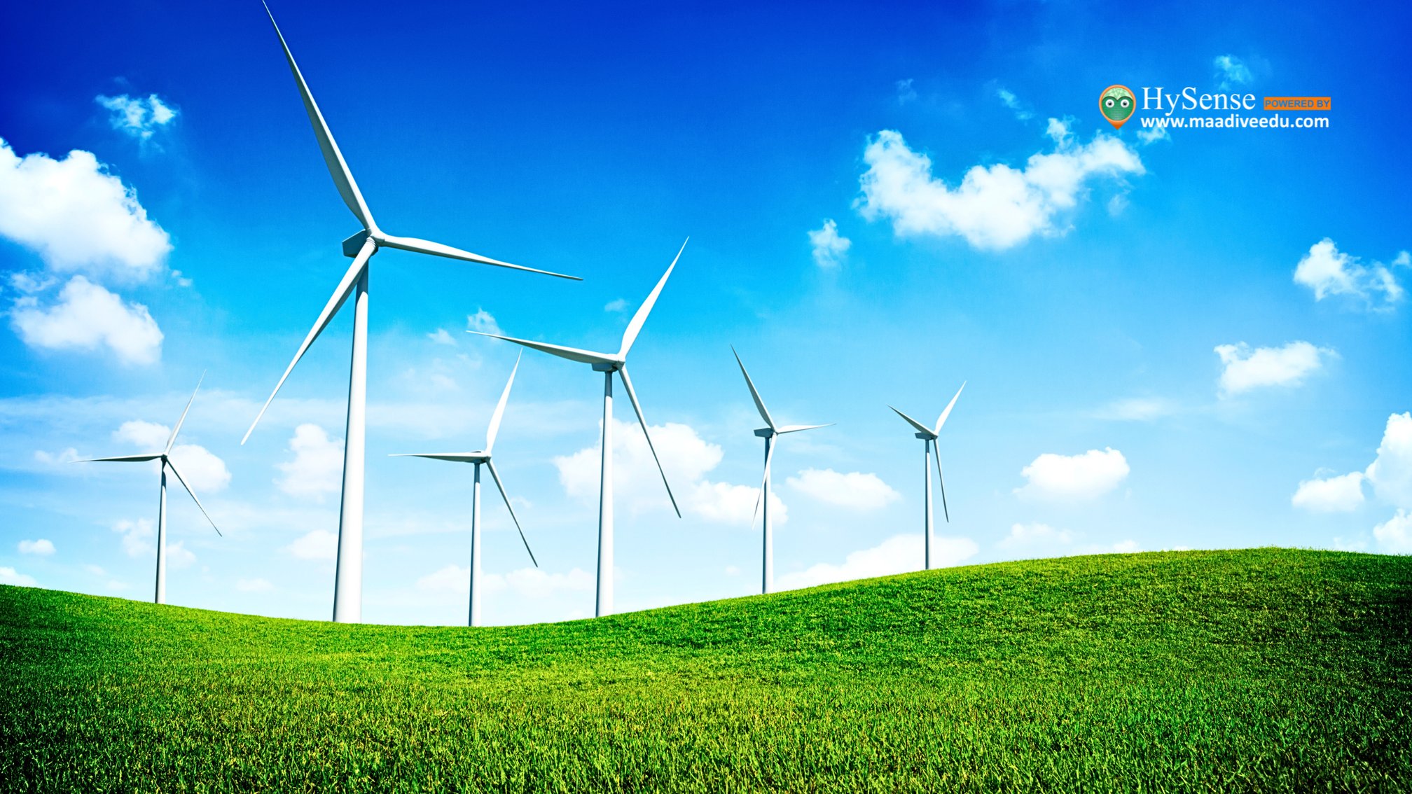 How Windmills Work and Why They Are Important for the Environment