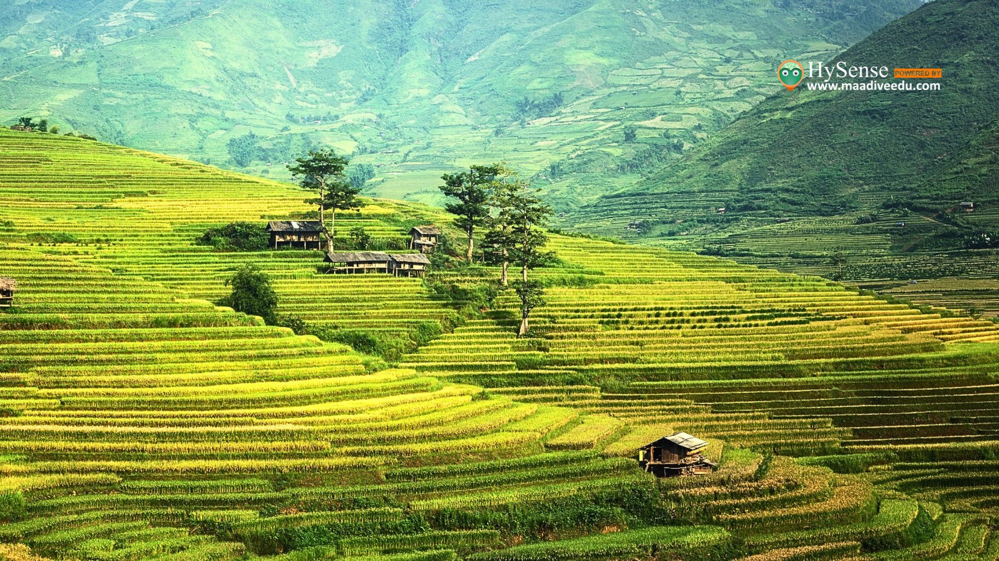 Choosing a Farmland on Hill: 7 Key Benefits for Wise Investors