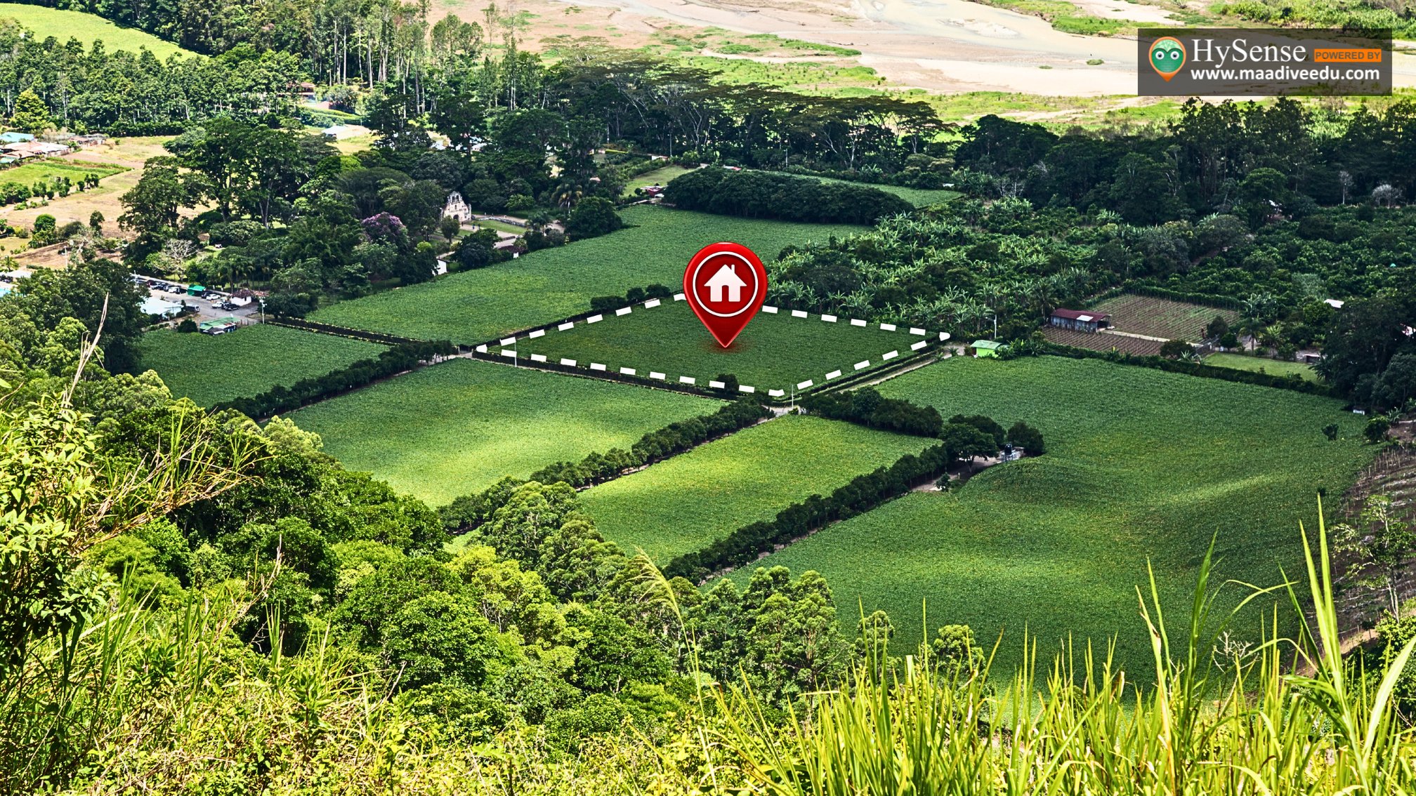Choosing Between Leasing and Buying Land: Which is Right for You?