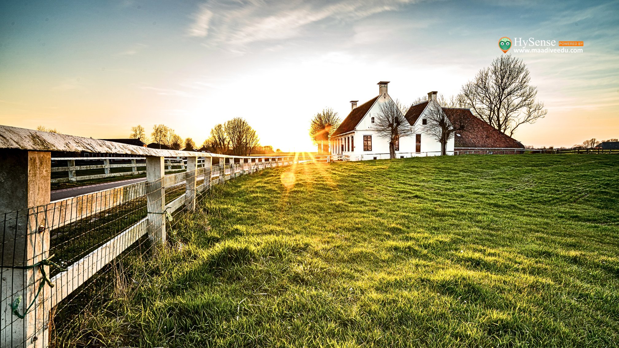 How to Choose Between a Cottage and a Farmhouse for Your Next Home