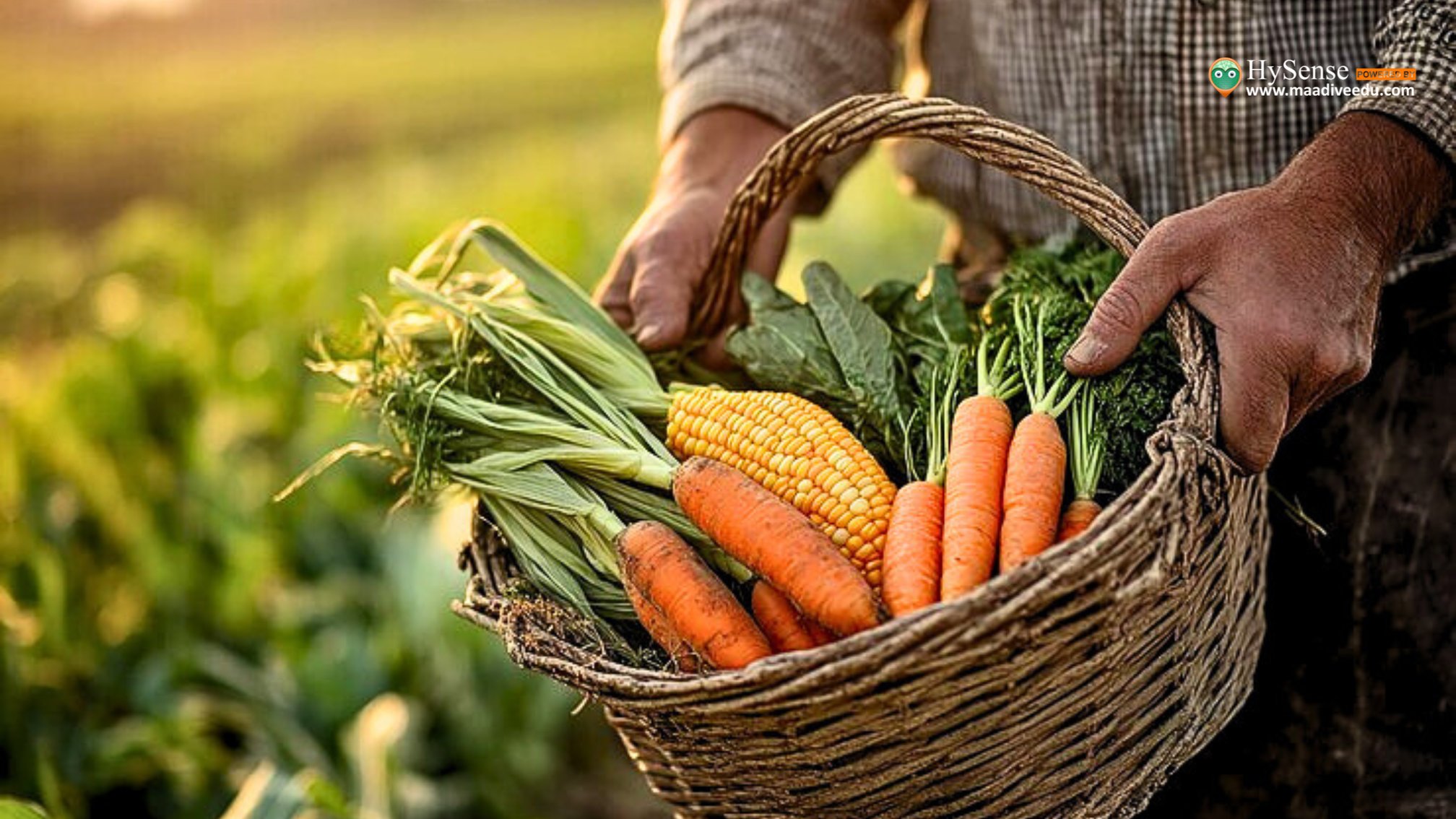 What is Organic Farming? 7 Powerful Benefits You Should Know