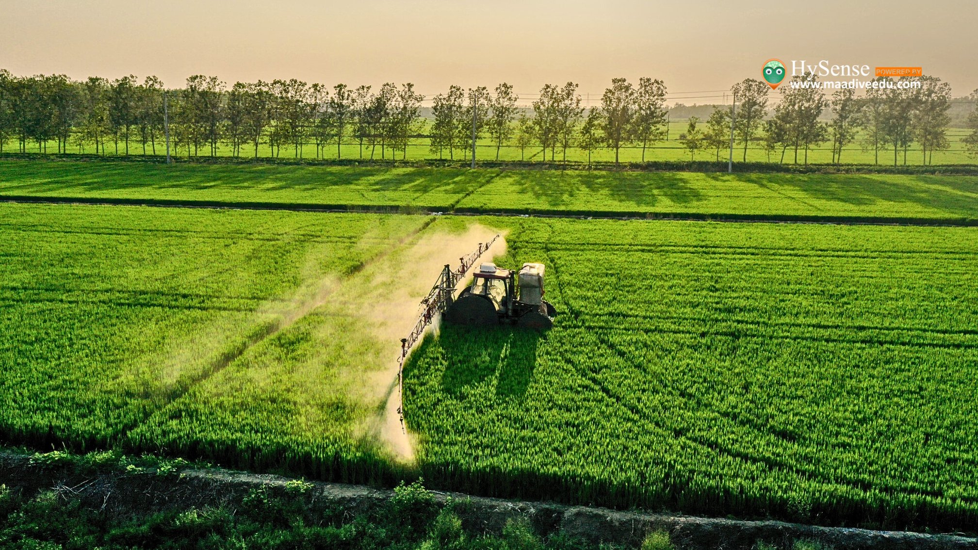 Cropland nutrient management : 7 Proven Strategies for Boosting Yields