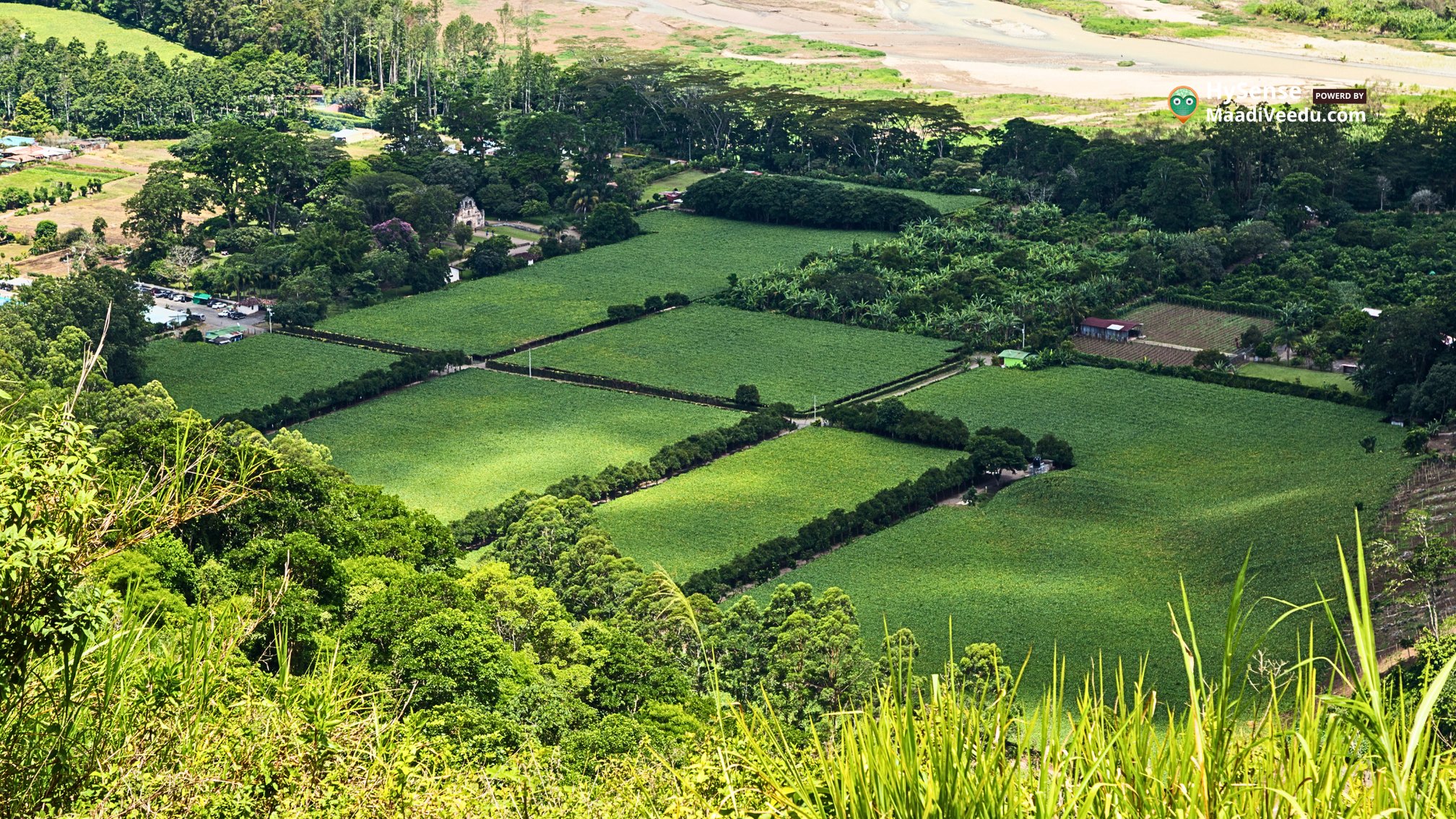 Best Location to Own - Farm - Land in India: 7 Top Picks