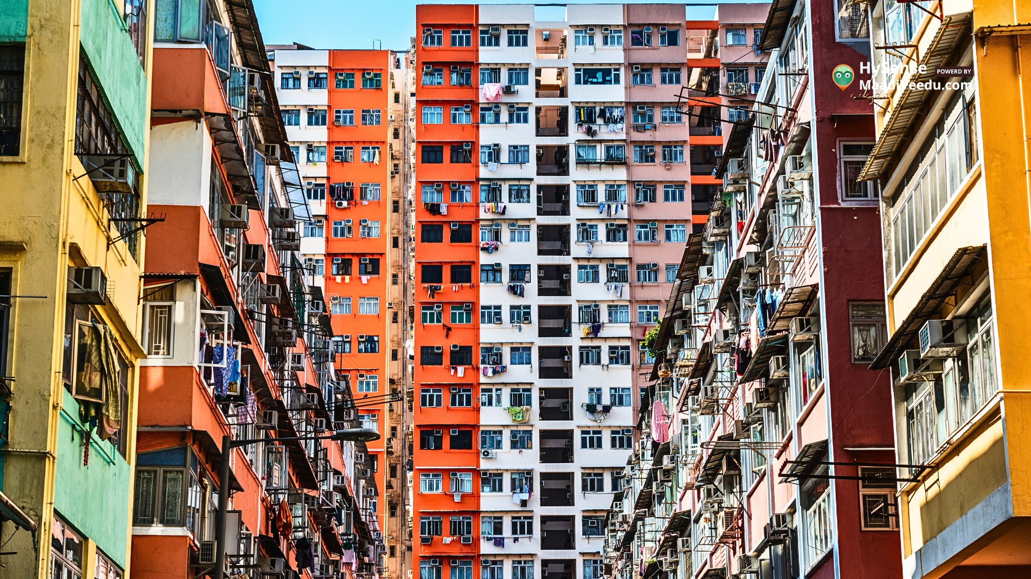 Legal Checks Before Buying a Flat in a Society - Protect Your Investment