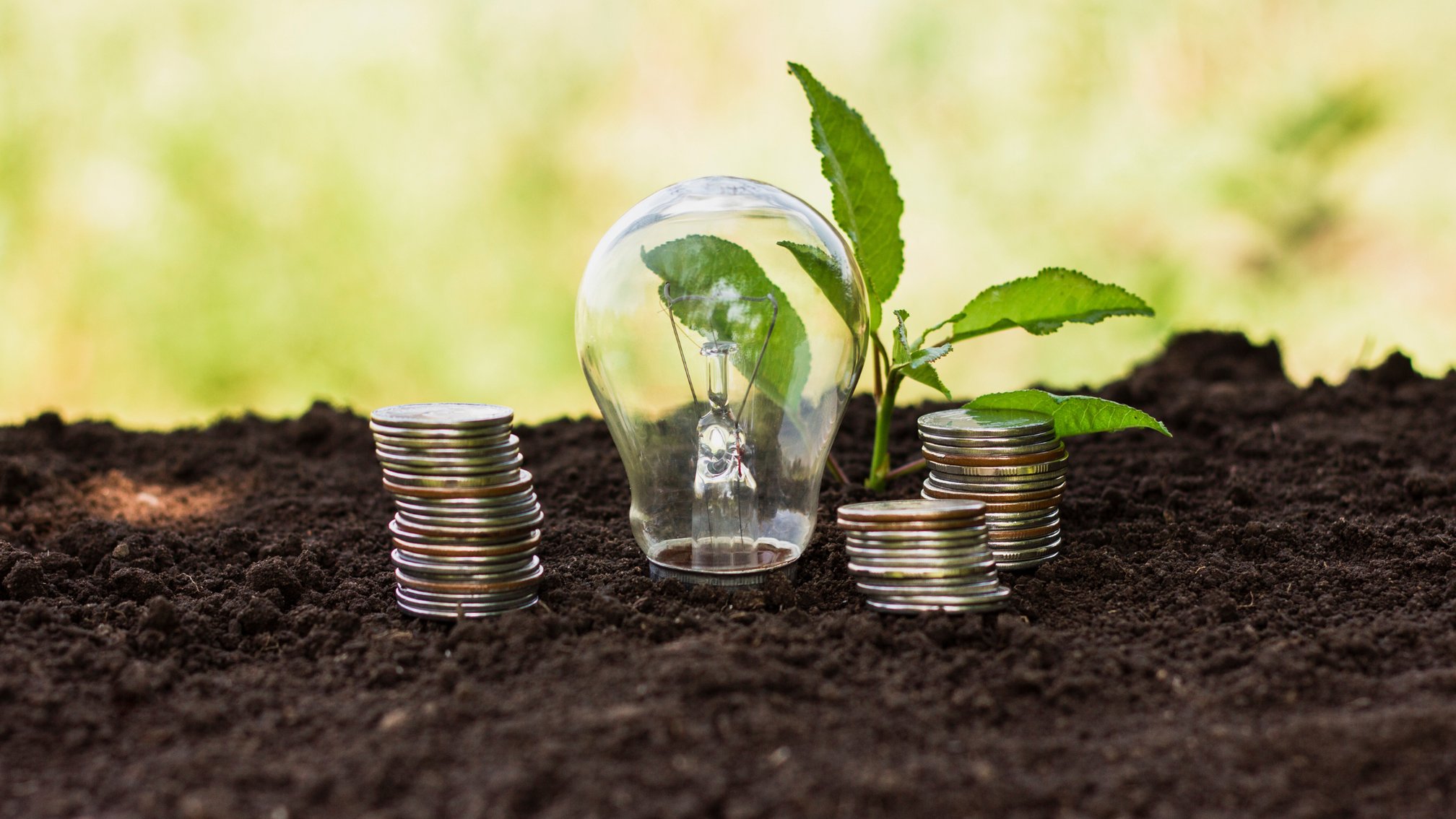 How Patta Helps in Getting Agricultural Loans: Easy Guide for Farmers