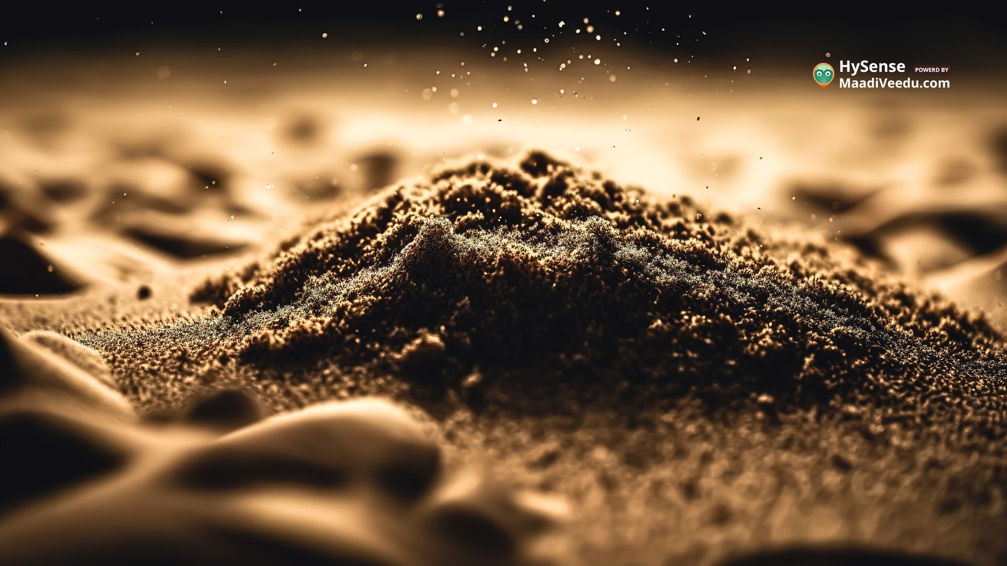 The Best Sand for Filling: 5 Essential Types and Their Unique Benefits