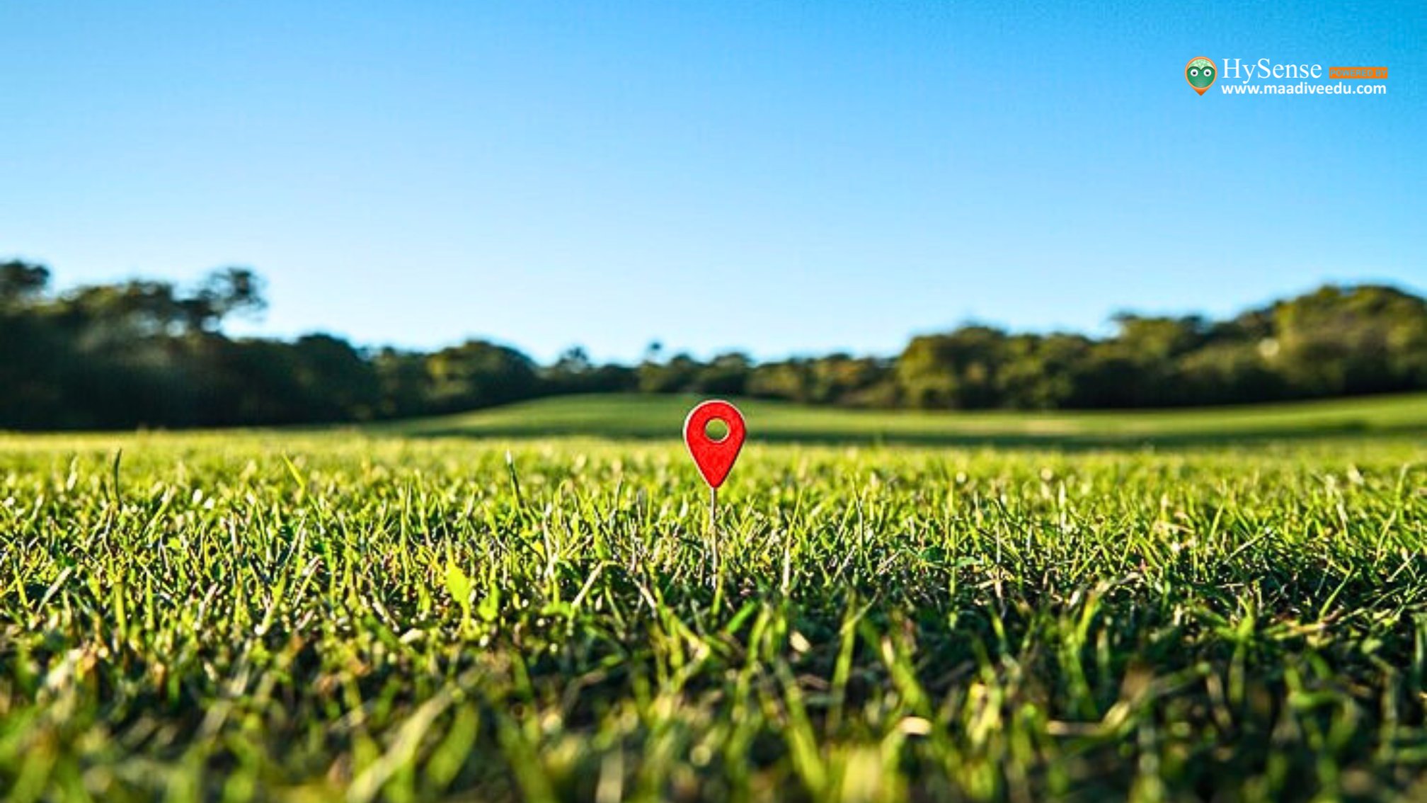 Buying Open Land: 5 Essential Tips for a Successful Investment
