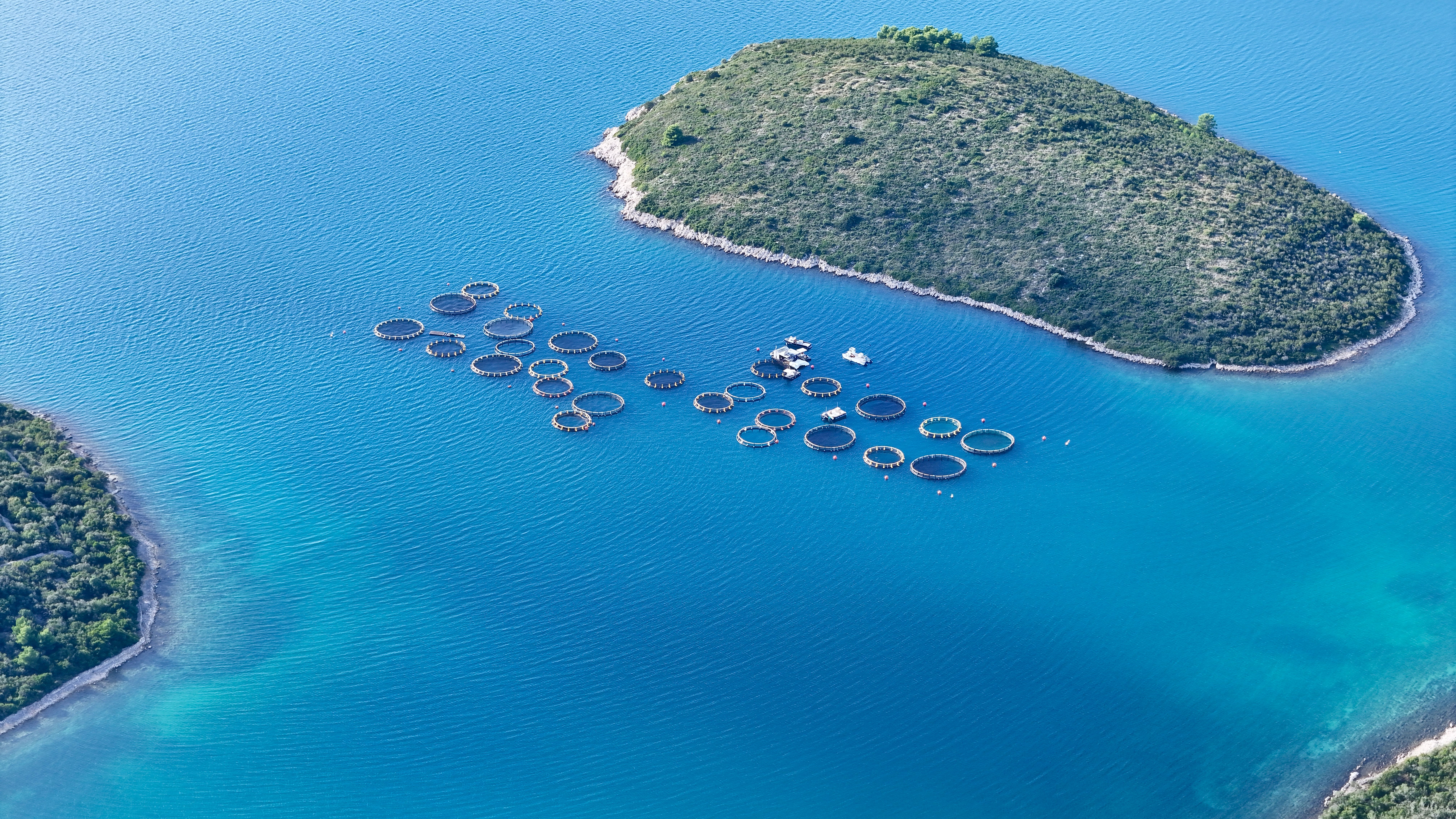 Aquaculture Nets / Cages