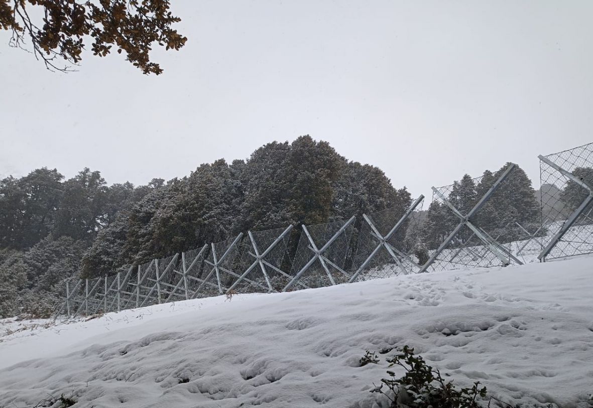 Figure 4-Multiple lines of Snow ErdoX lines installed (view from downslope)