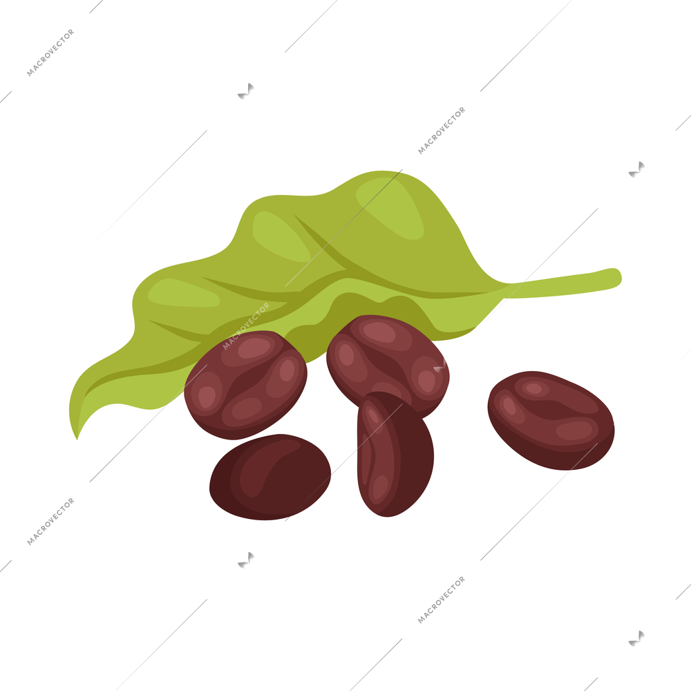 Isometric roasted coffee beans with green leaf on white background 3d vector illustration