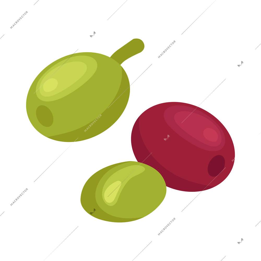 Isometric coffee berries on white background vector illustration