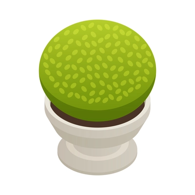 Green bush in white outdoor pot 3d isometric icon vector illustration