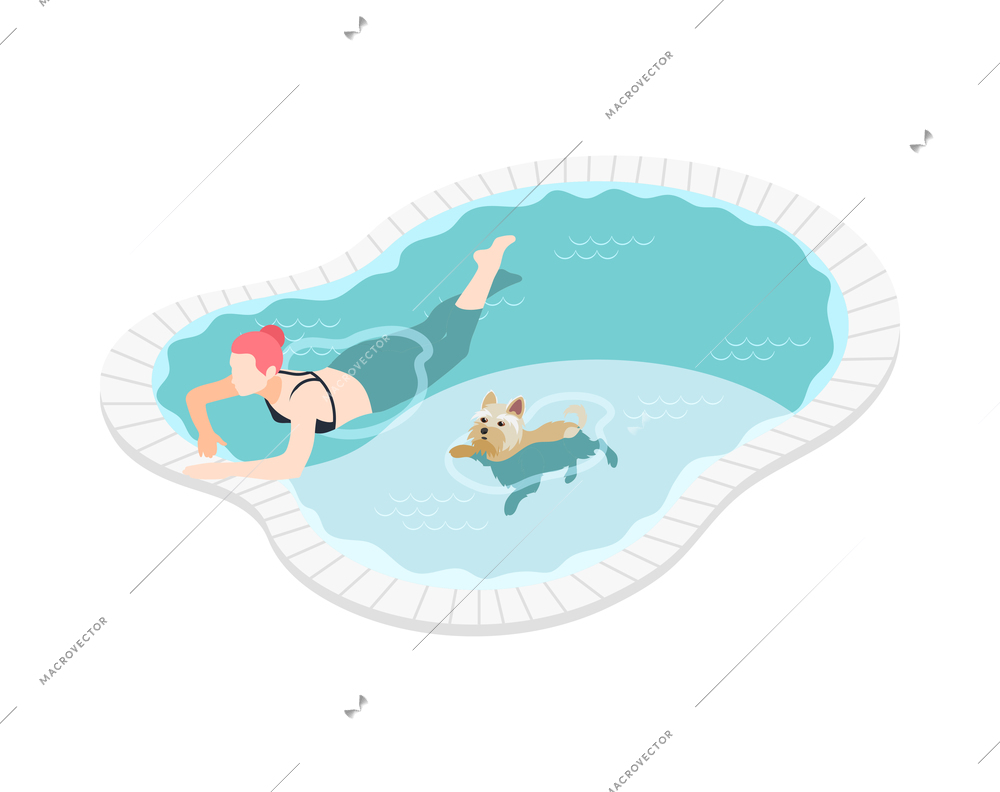 Woman swimming with her little dog in pool 3d isometric vector illustration