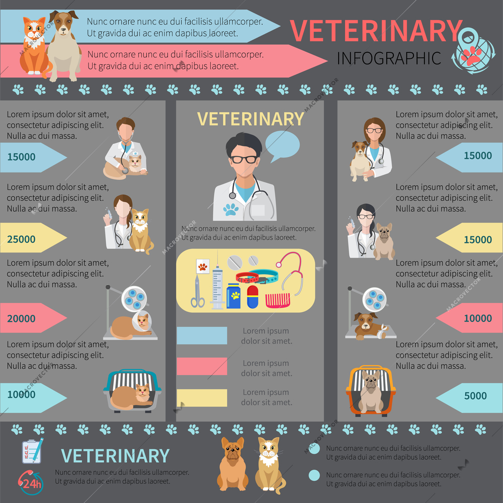 Veterinary flat infographic set with pet doctor and animals vector illustration