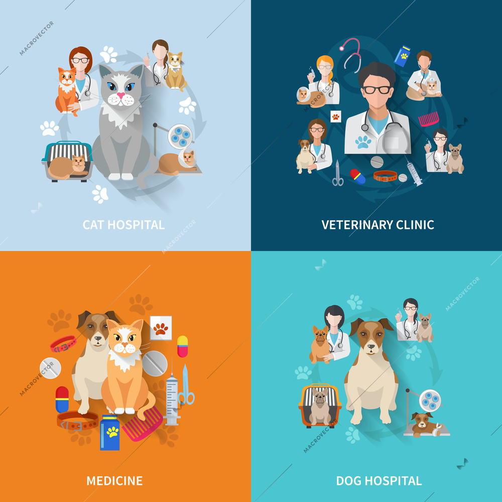 Veterinary flat set with cat and dog hospital medicine clinic isolated vector illustration