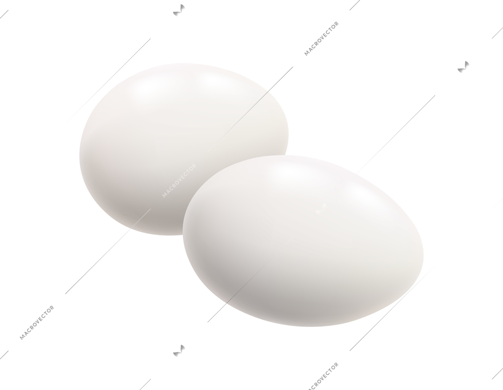 Two realistic white hen eggs on blank background vector illustration