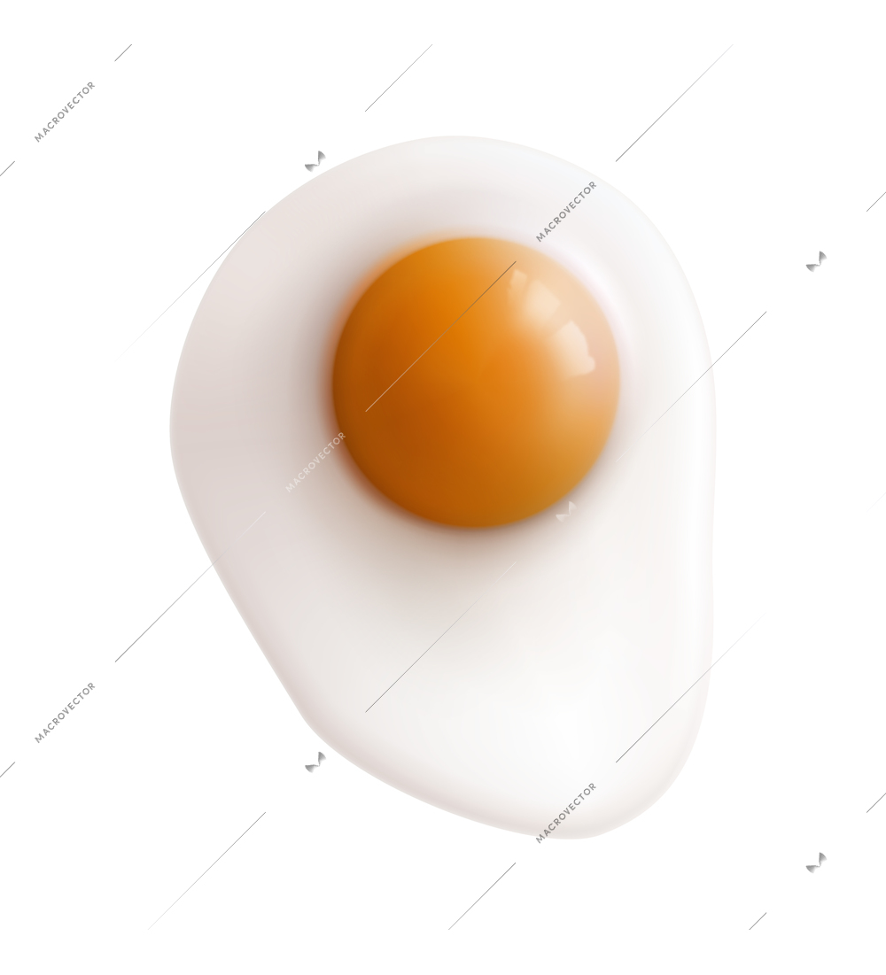 Realistic fried egg top view on white background vector illustration