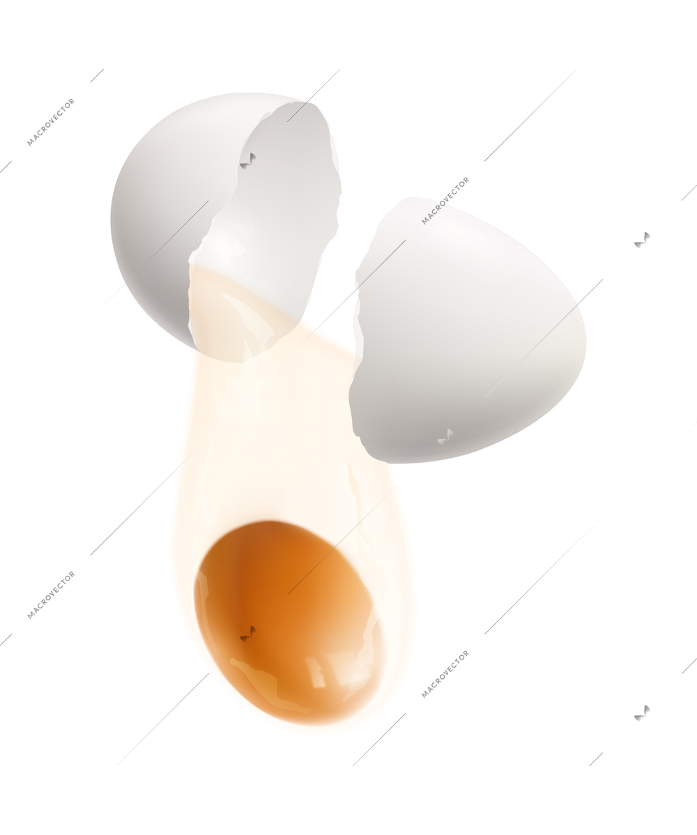 Realistic cracked egg with yolk vector illustration