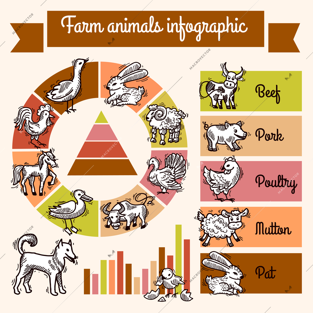 Farm infographics set with sketch animals and charts vector illustration