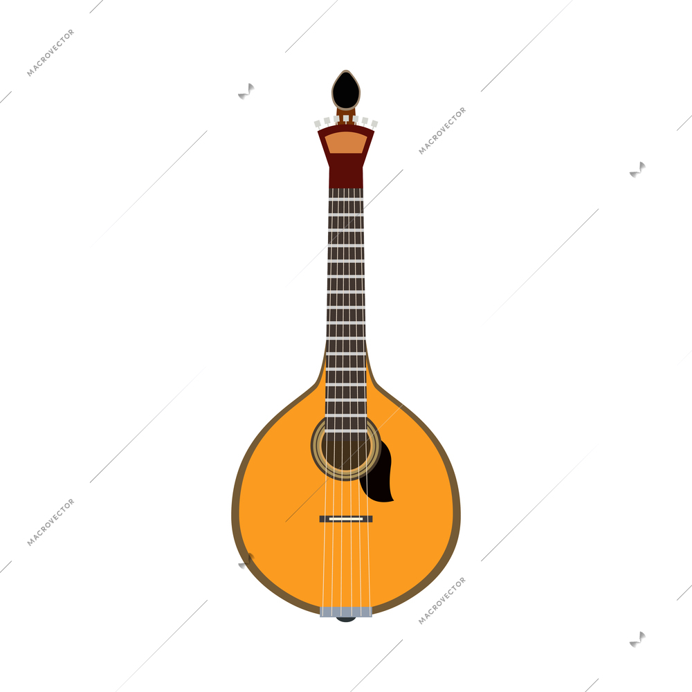 Flat portuguese guitar vihuela on white background vector illustration