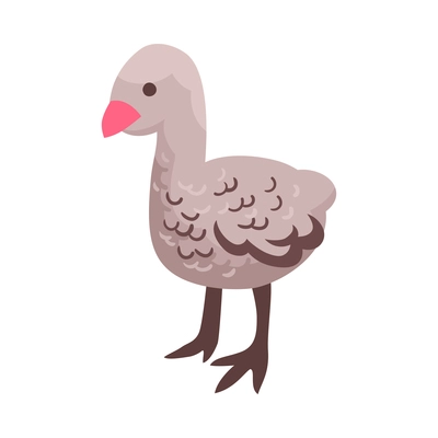 Isometric little turkey poult on white background 3d vector illustration