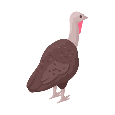 Turkey hen back view 3d isometric vector illustration