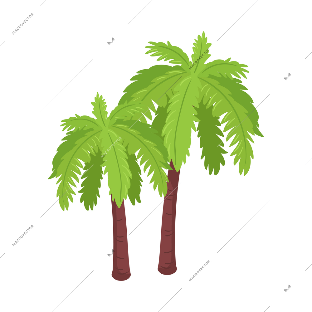 Two green palms on white background 3d isometric vector illustration