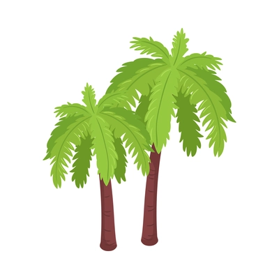 Two green palms on white background 3d isometric vector illustration