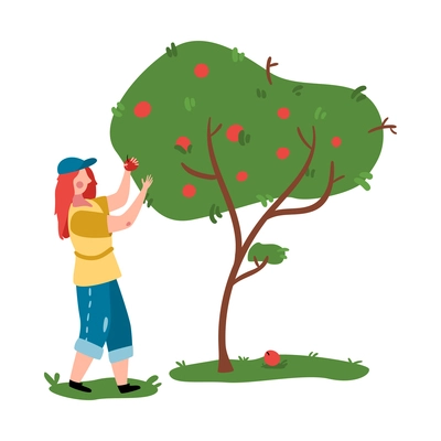 Eco farming composition with woman picking apples from tree flat vector illustration