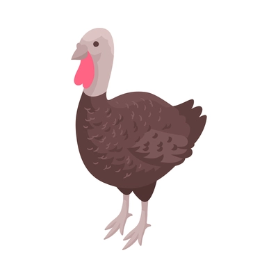 Isometric turkey hen on white background 3d vector illustration