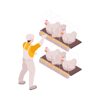 Isometric poultry farm icon with worker feeding hens 3d vector illustration