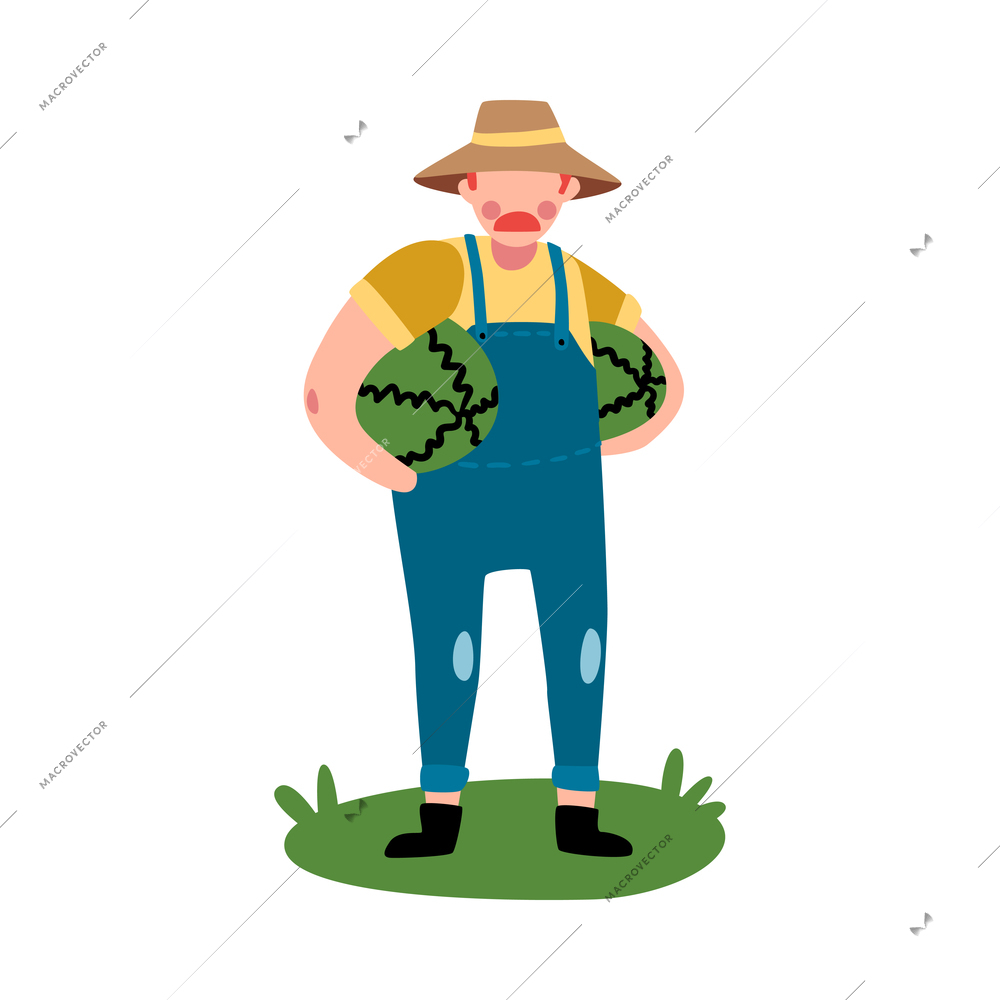 Flat male farmer holding two ripe watermelons vector illustration