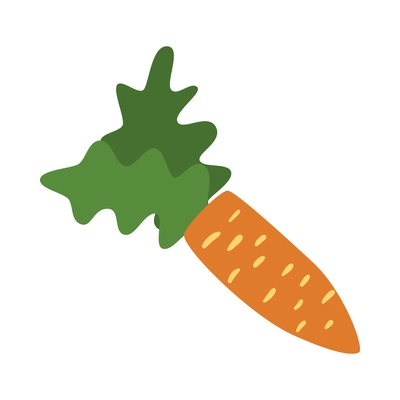 Fresh carrot with green tops in flat style vector illustration