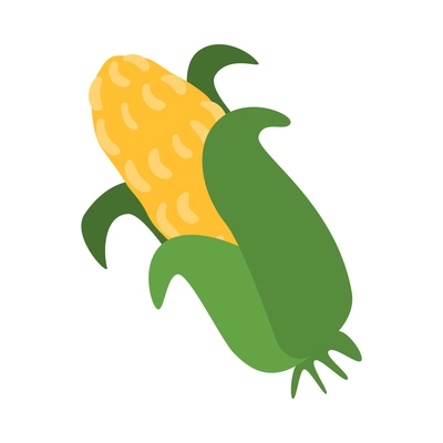 Flat corn cob in green husk on white background vector illustration