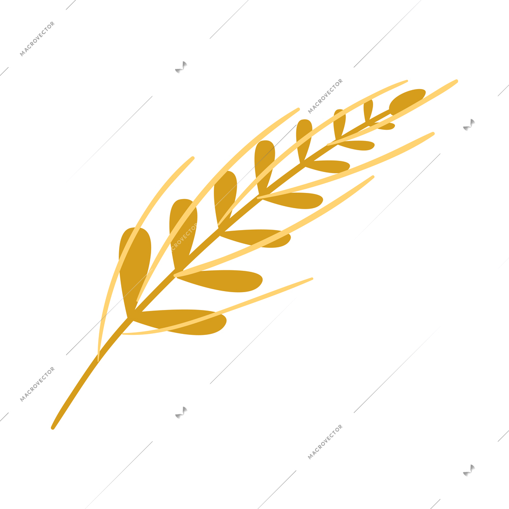 Flat yellow wheat ear on white background vector illustration