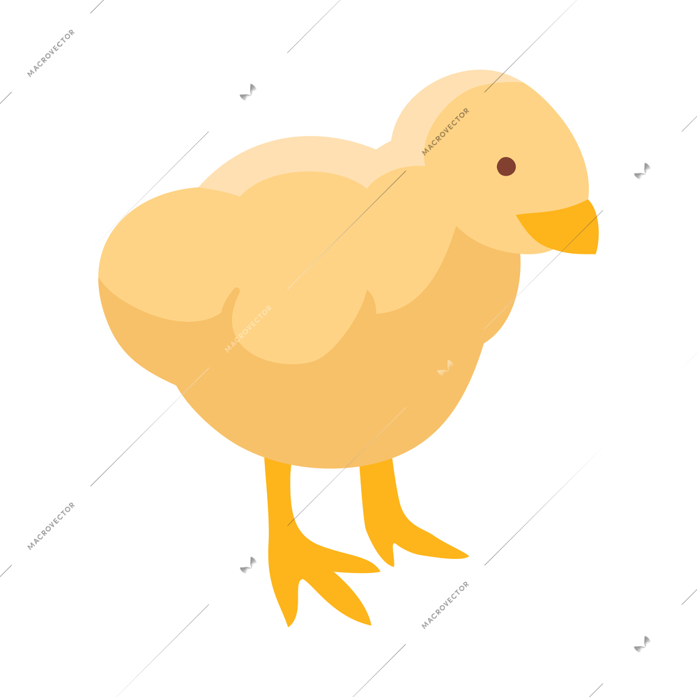 Isometric cute yellow chick on white background 3d vector illustration