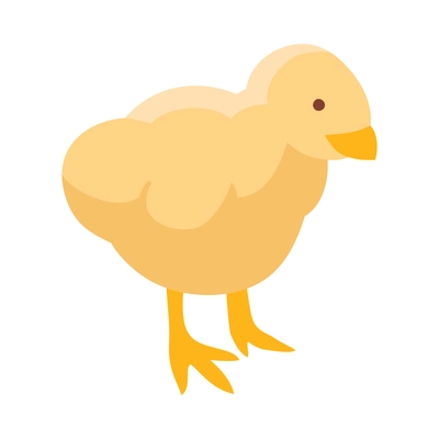 Isometric cute yellow chick on white background 3d vector illustration