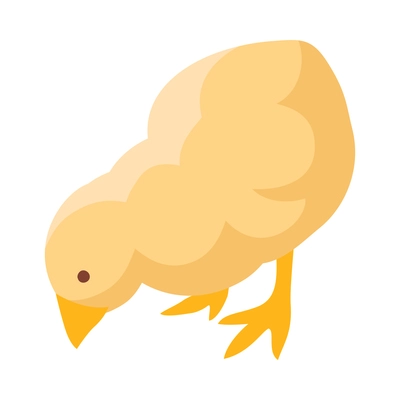 Little yellow chicken on white background 3d isometric vector illustration