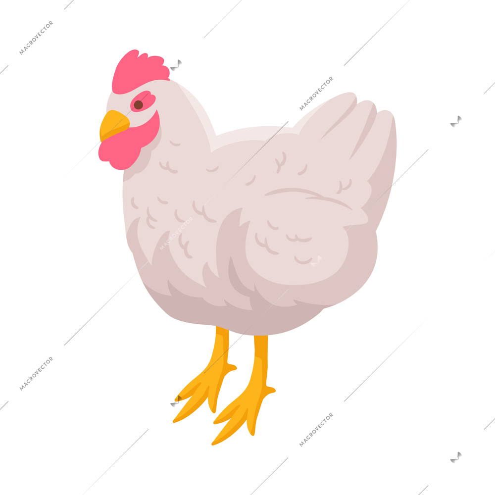 Isometric white rooster on blank background 3d vector illustration