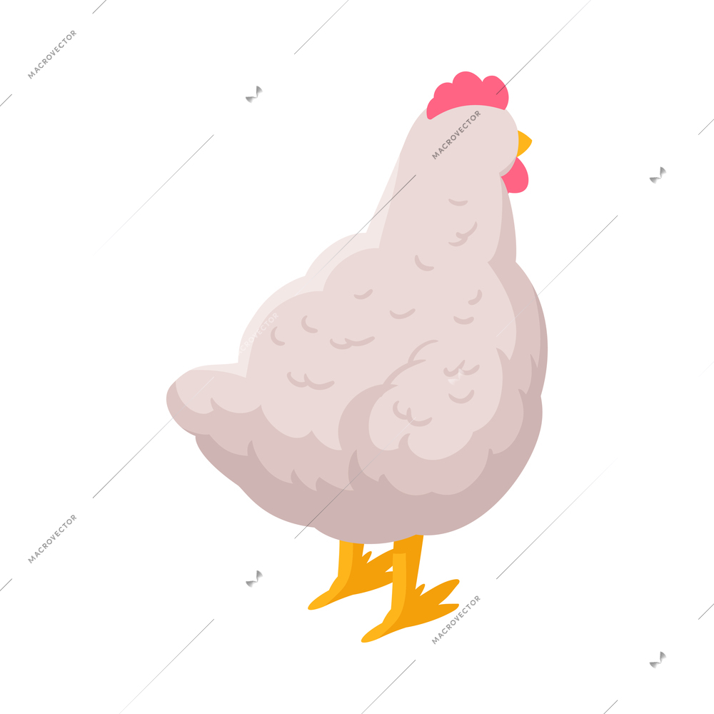 Isometric white hen back view 3d vector illustration