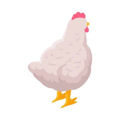 Isometric white hen back view 3d vector illustration