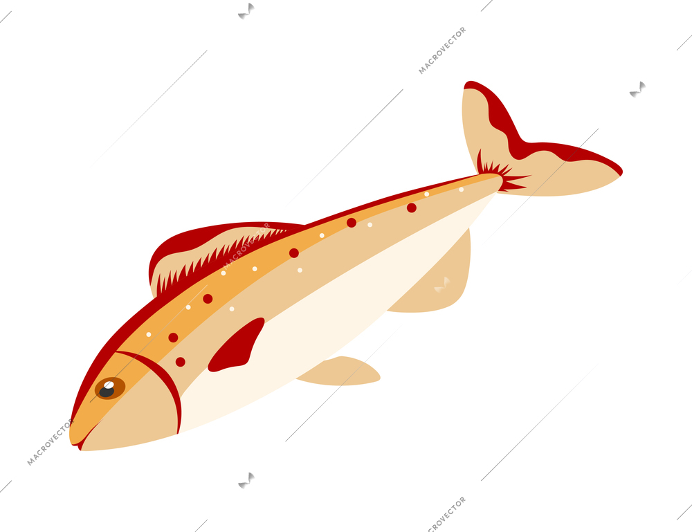 Isometric salmon fish on white background 3d vector illustration